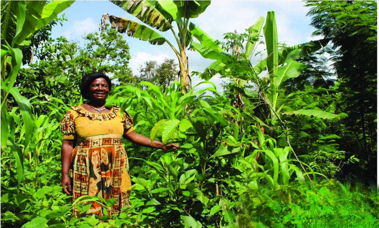 Why Women’s Empowerment, Gender Equality Matters in Restoration