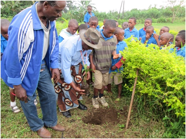 Environmental Education Spread In Schools