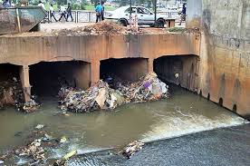 Yaounde Slum Dwellers Live With Vermin