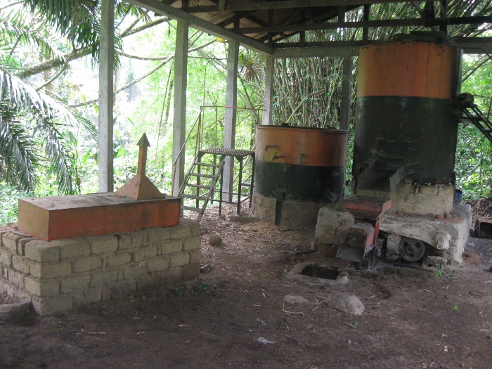 Modern Mill Boosts Palm Oil Production In Mak-Bechou