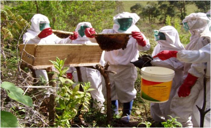 Magha Bee Farmers Trained On Harvesting Techniques