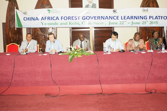 China Fuels Illegal Exports Of Cameroon Timber