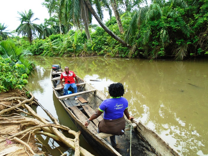 Boa Mbongo Natives: Beggars on Golden Stools