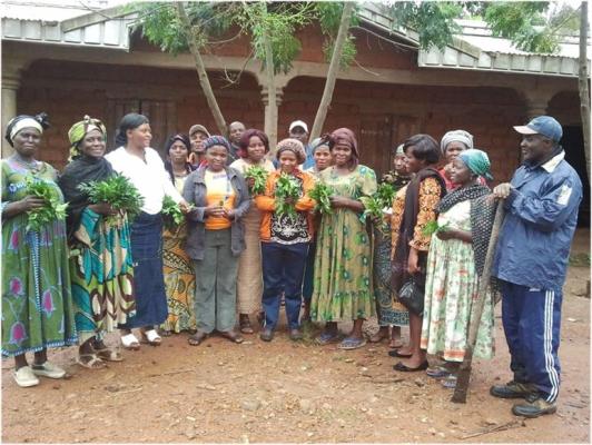 ‘Rural Pharmacy’ Helps Restore Health of Farming Couple