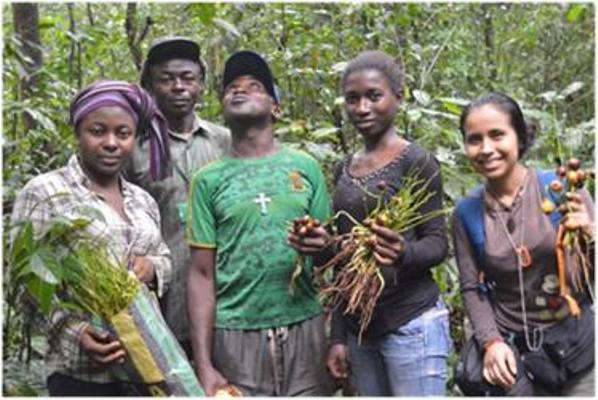 Mexican Volunteer Ventures Out For Country Onion Wildings