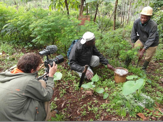 IUCN Sets Out To Help Expose Cameroonian NGOs