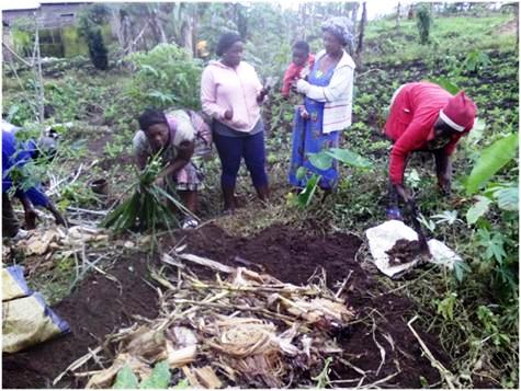 Making Agroforestry More Profitable for Farmers