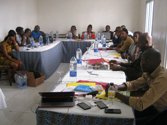 CSOs Sidelined In REDD+ Initiatives