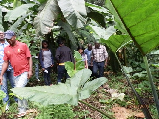 ERuDeF Shortlisted For Southwest Implementation