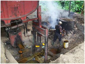 Consumers Rush For ‘Silver Back’ Palm Oil