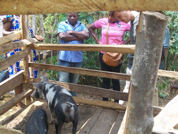 Livelihood Support Improves Endangered Wildlife Conservation In Tofala