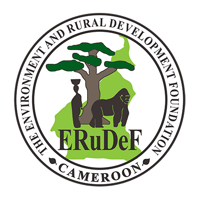 Vacancy Announcements @ ERuDeF