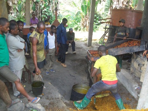 Modern Oil Mills, Improving Living Standards in the Lebialem Highlands