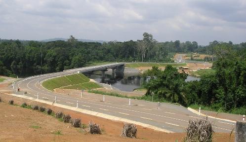 Bamenda-Mamfe-Ekok Road Depleting Biodiversity in Southwest