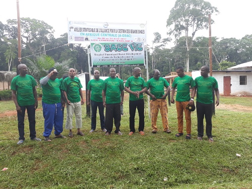 New Strategies Developed To Conserve Central African Great Apes