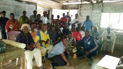 Dryad Project Reinstates Hope In Community Forestry In SW Cameroon