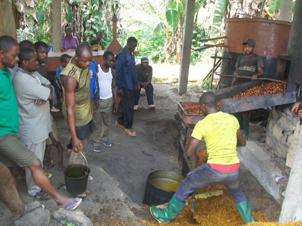 Footprints of Social Business Activities In Lebialem Highlands Conservation Complex