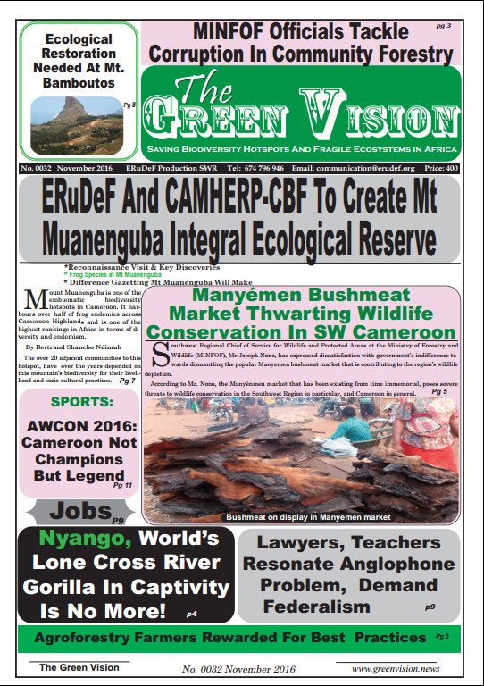 Green Vision Newspaper 0033