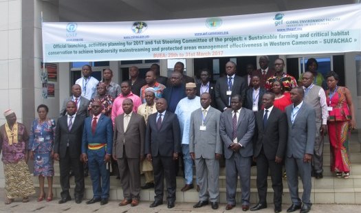 FCFA 1.5 Billion Allotted for Bakossi Bayang-Mbo, Lebialem Landscape TOU Management