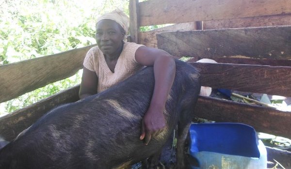 NADEV’s Women Entrepreneurship Project, Improving Widow’s Livelihoods In SWR
