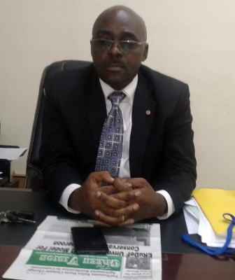 Councils Urged To Emulate Buea, Mbonge and Kumba 1 in Reforestation