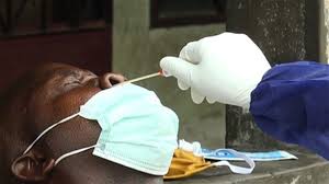 Secondary School Teachers in Cameroon Compelled to do the COVID- 19 Test