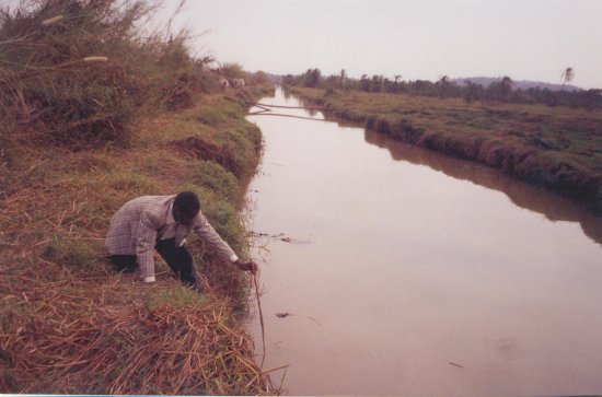 Editorial: Celebrating Wetlands In Dryness